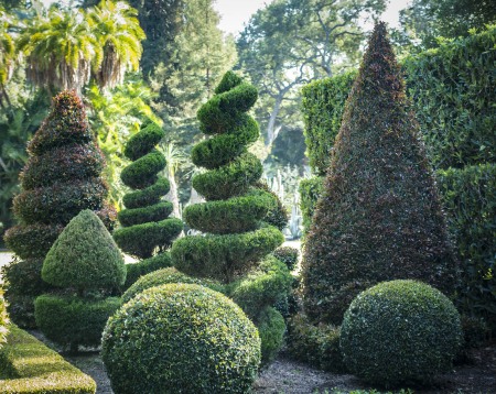LOTUSLAND