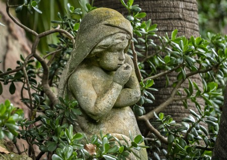 LOTUSLAND