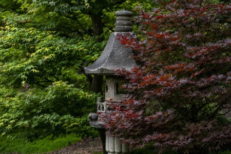 LOTUSLAND