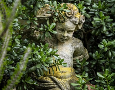 LOTUSLAND_FranCollinPhoto__106