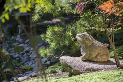 LOTUSLAND_FranCollinPhoto__91